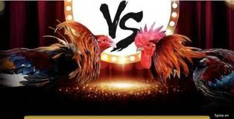 Đá Gà S666: Sân Chơi Kịch Tính Và Đẳng Cấp Cho Mọi Kê Thủ