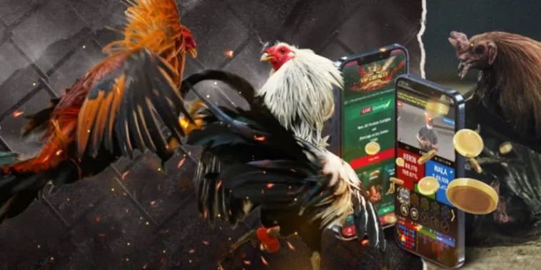 Cách Chơi Đá Gà GA28 Tại S666 Chi Tiết Dành Cho Bet Thủ