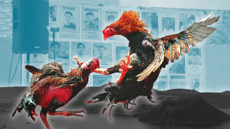 Bí Quyết Chơi Đá Gà Sabong Tại S666: Nắm Chắc Luật, Thắng Lớn