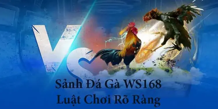 Hướng Dẫn Cách Chơi Đá Gà WS168 Tại S666 Chuẩn Xác Nhất 2025