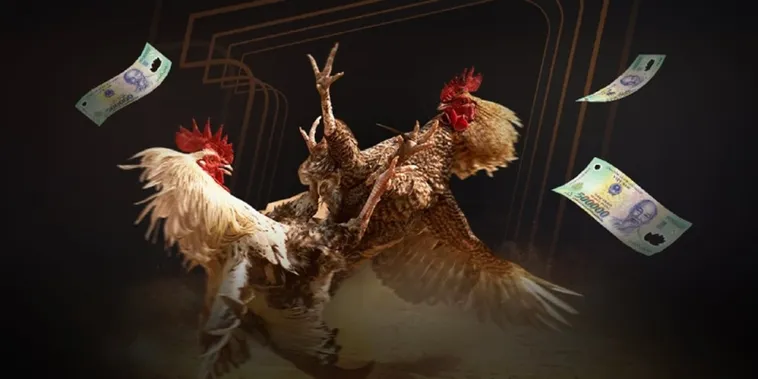 Đá Gà S666: Sân Chơi Kịch Tính Và Đẳng Cấp Cho Mọi Kê Thủ