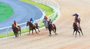 Tìm Hiểu Cá Cược Đua Ngựa S666: Bí Kíp Soi Kèo Chuẩn Xác